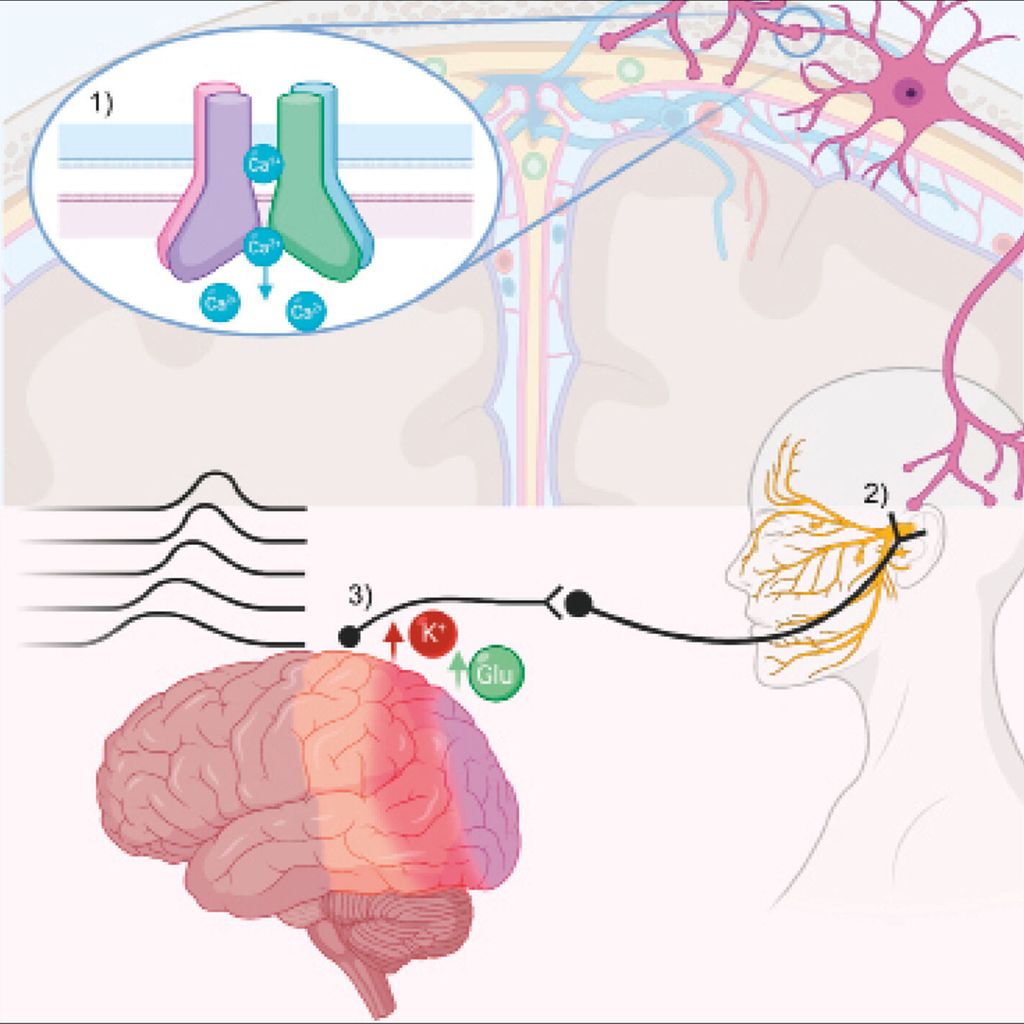 Hypoxie als Auslöser für Migräne und Aura Universimed Medizin im